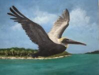 Photo of Bill Castleman Photo of Bill Castleman