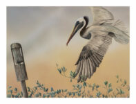 Photo of Elizabeth Neily Photo of Elizabeth Neily