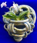 Photo of Joanne Brown Photo of Joanne Brown