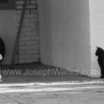 Photo of Joe Walles Photo of Joe Walles