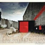 Photo of Marian Tagliarino Photo of Marian Tagliarino