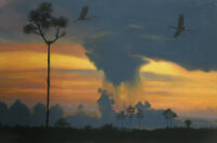 Photo of Shawn Dell Joyce Photo of Shawn Dell Joyce