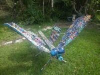 Photo of Susan Todd Martin Photo of Susan Todd Martin