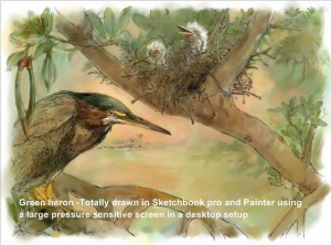 Dean Fortune, Digital Bird Painting