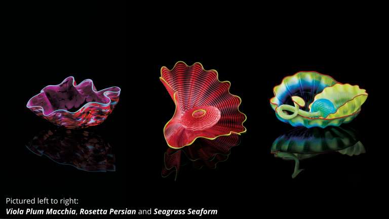 Chihuly Collection - Morean Arts Center