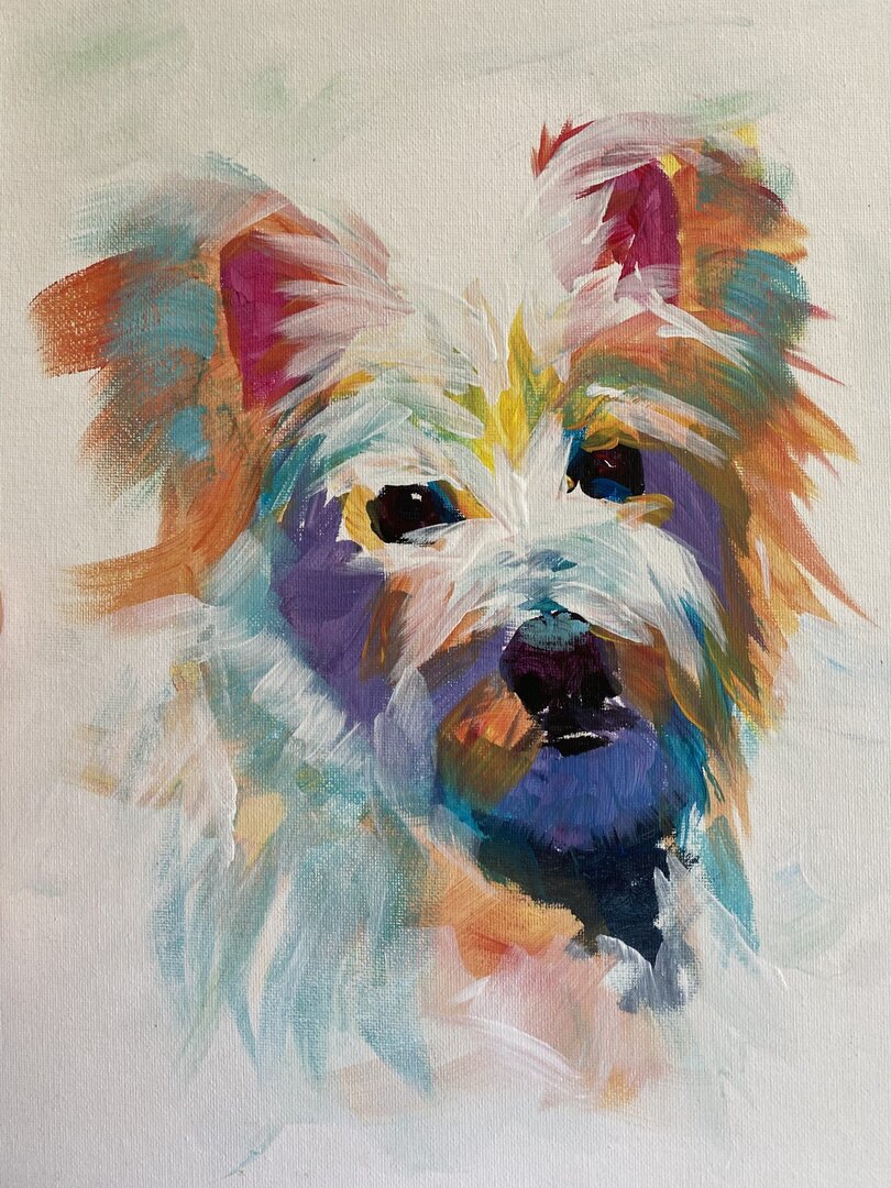 Colorful Pet Portraits Morean Arts Center