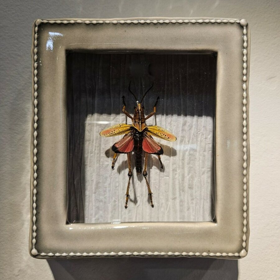 Bug Pinning Workshop with Erica Bleu - Morean Arts Center